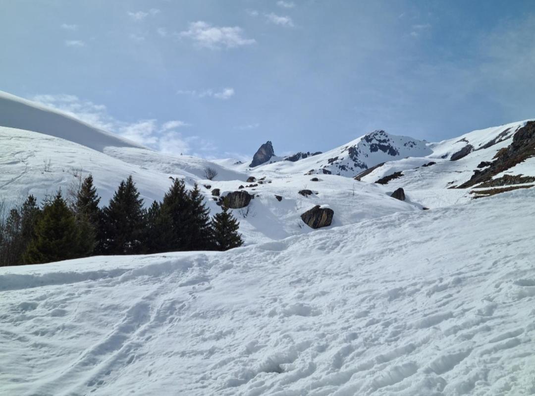Fewo D'Rock Arosa- Center Of Nightlife By Nature Apartments Switzerland Exteriér fotografie